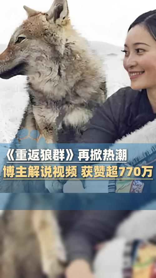 午夜DJ影院免费视频观看完整版 | 高清在线播放平台 | 深夜音乐视频资源