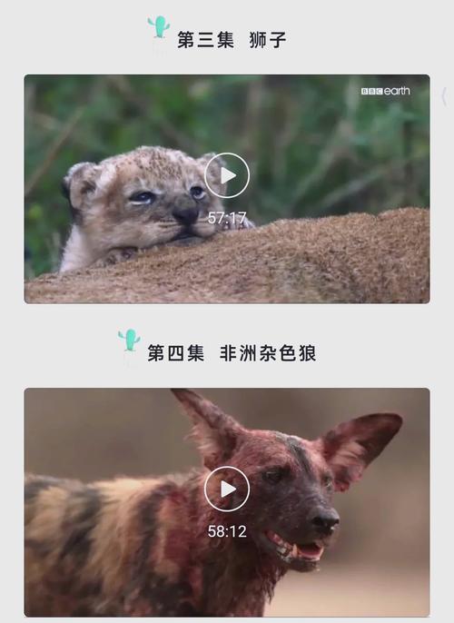 6029樱桃影院：在线观看最新热门电影电视剧，免费高清无广告畅享视听体验