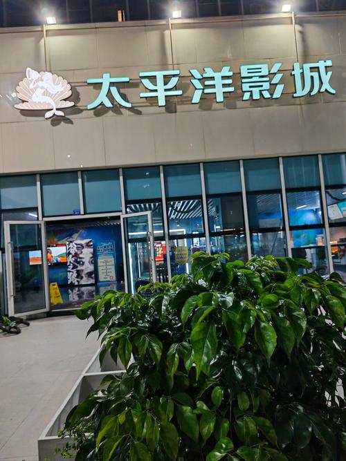 91免费视频app下载的相关介绍