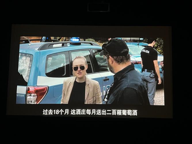 战狼影院八哥电影在线观看 - 最新高清热门大片免费追剧，海量资源极速播放无广告