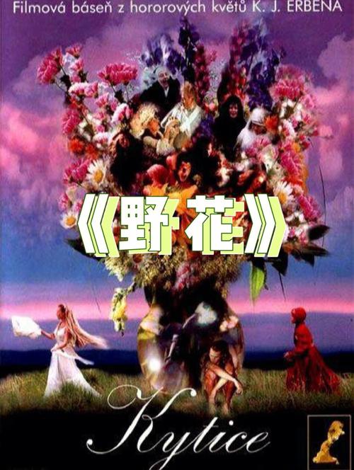天堂影院 - 最新热播电影在线观看 | 免费高清影视资源 | 全网VIP影片抢先看