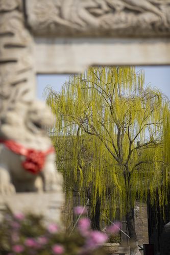 久久看影院的相关介绍