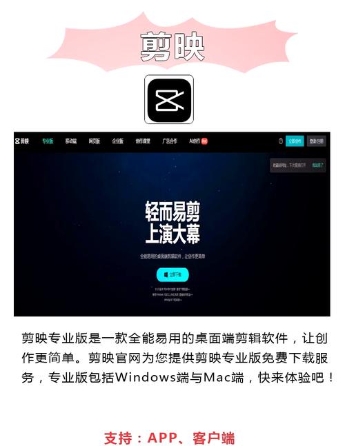 6080理论208新电影院的相关介绍