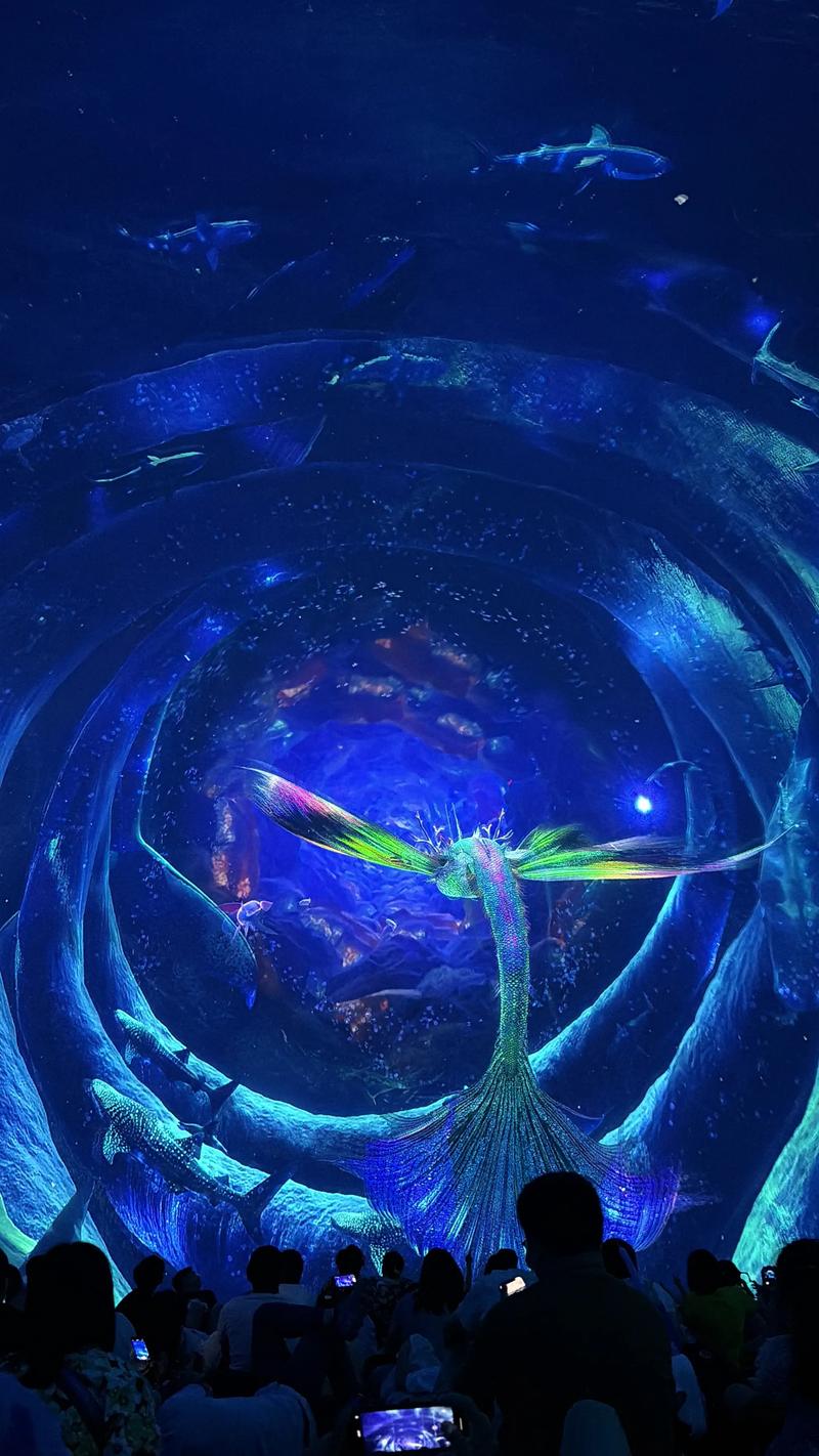 开私人影院大概需要多少钱？【小型影院投资预算、私人影院加盟费用、低成本开影院成本】
