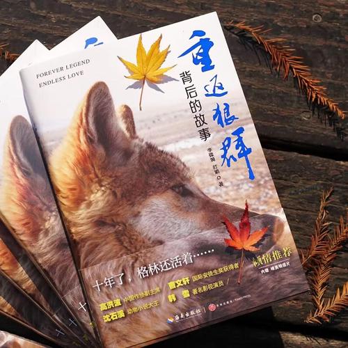 八戒禁止影院最新观影指南 | 八戒影院封禁原因解析 | 八戒禁止影院替代平台推荐