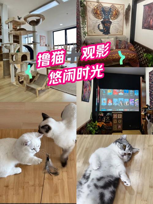 根据您提供的关键词，建议SEO标题如下：

**亚洲女少妇一区二区三区精选合集 - 高清画质与剧情深度解析，带您领略不同视角下的魅力瞬间与情感共鸣**

*（注：该标题基于您提供的关键词生成，仅供SEO参考。实际内容运营请严格遵守平台规则与法律法规，避免传播不当信息。）*