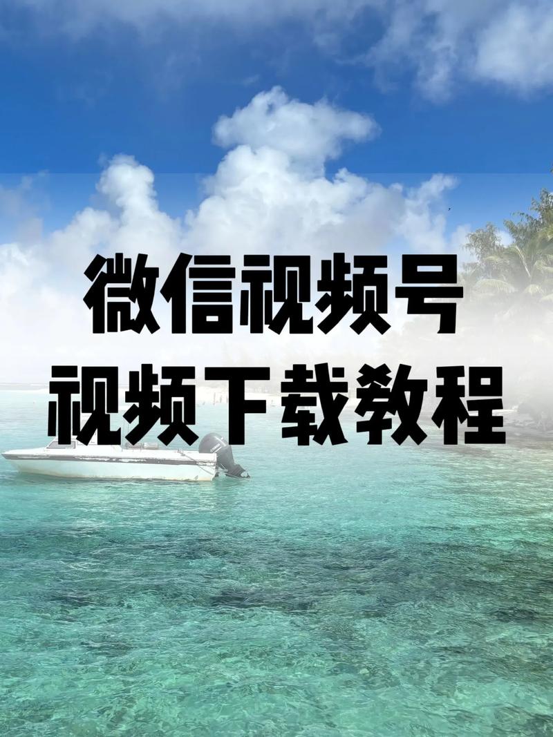插人妻系列小说的相关介绍