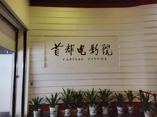 广东影院暂停营业最新通知，恢复时间、退票政策及周边场所开放情况汇总