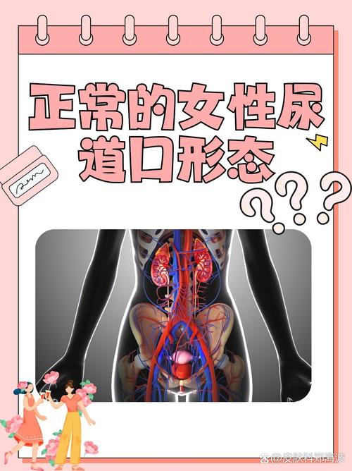 老湿影院费试免费观看指南：2025最新资源与在线体验分享